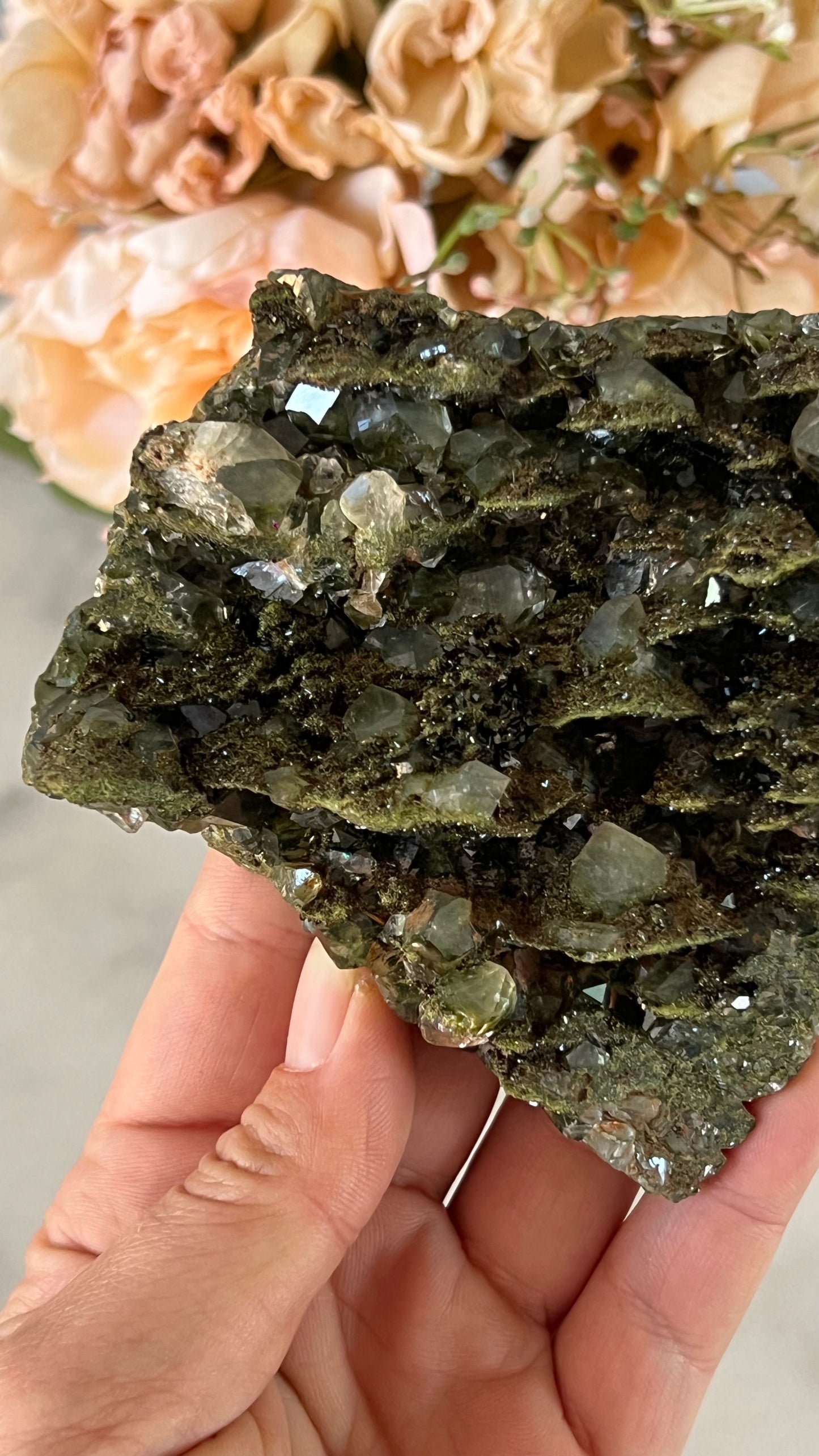 Fairy Forest Epidote with Clear Quartz cluster