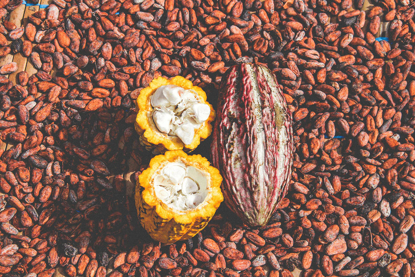 Ceremonial Cacao